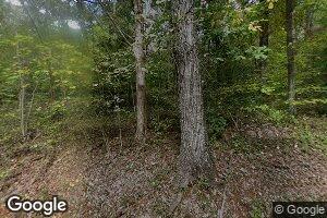 20495 Clarks Mountain Rd, Rapidan, VA 22733