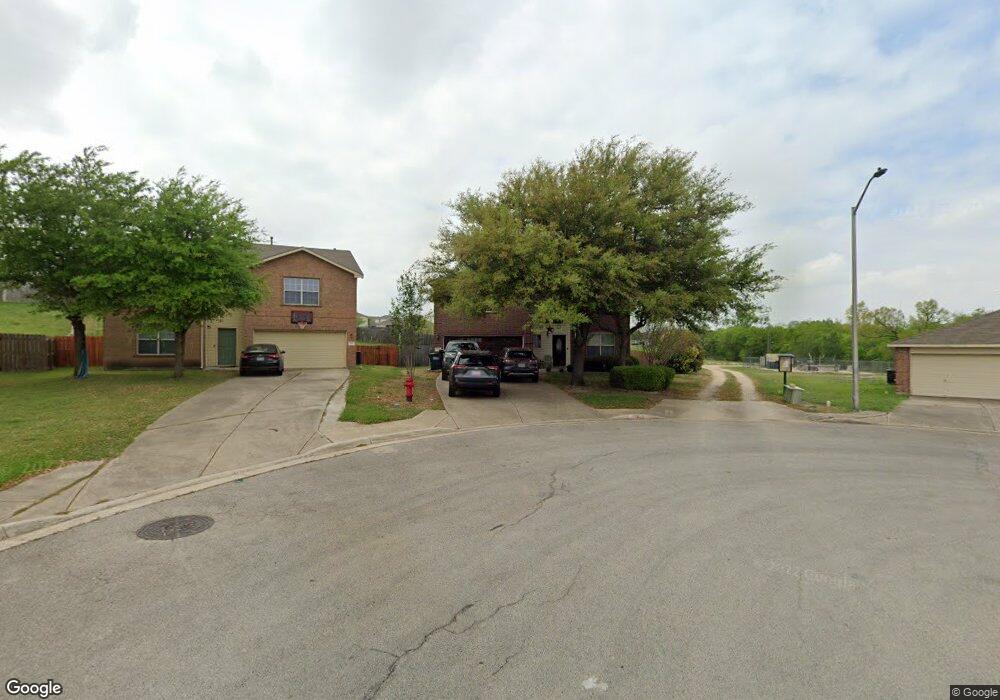 281 Peppergrass Cove, Kyle, TX 78640 - photo 1