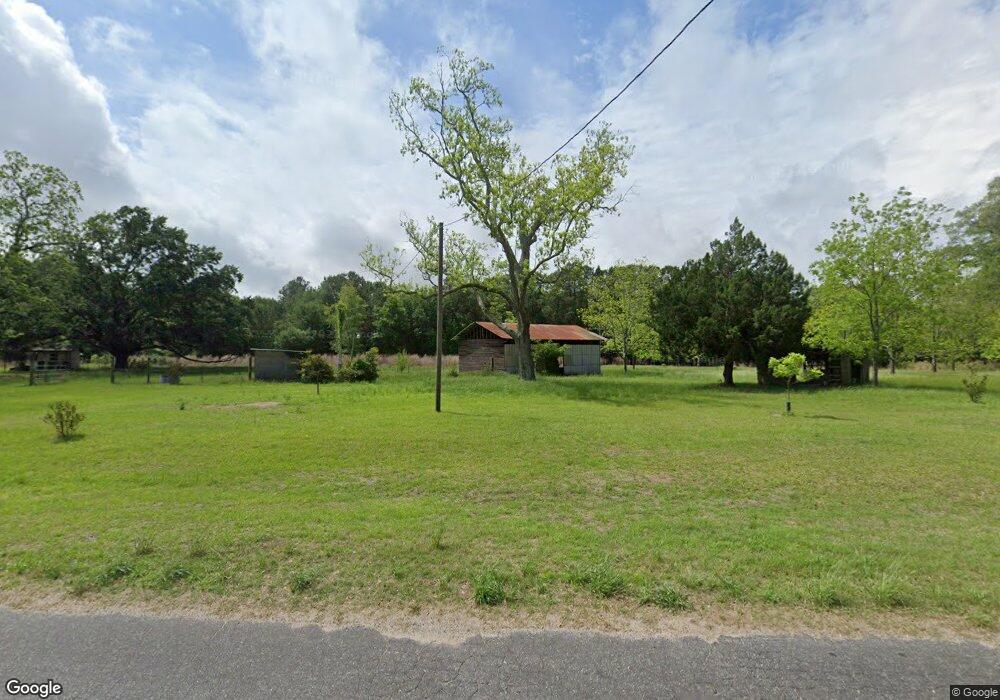 369 Hagin Still Rd, Doerun, GA 31744 - photo 1