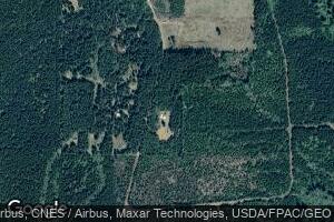 811 W Winchester Way, Shelton, WA 98584