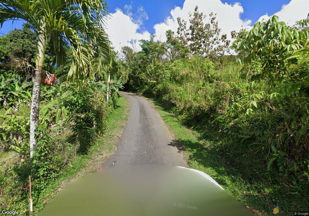 D Vista Del Mar unit D Lot, Canovanas, PR 00729 - photo 1