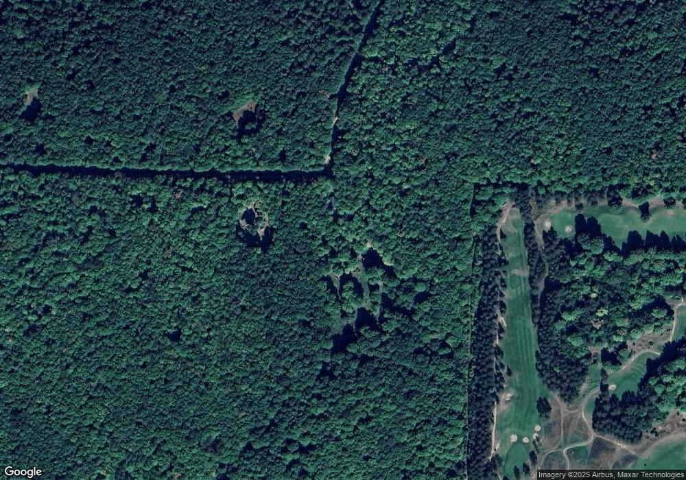 10981 White Ash Trail, Vanderbilt, MI 49795 - photo 1