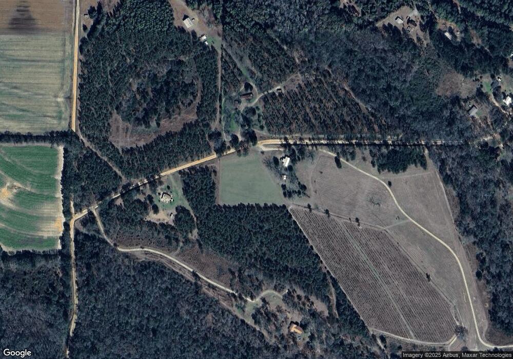 296 Waldron Rd, Pelham, GA 31779 - photo 1