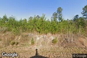 1690 Shoals Rd, Mitchell, GA 30820