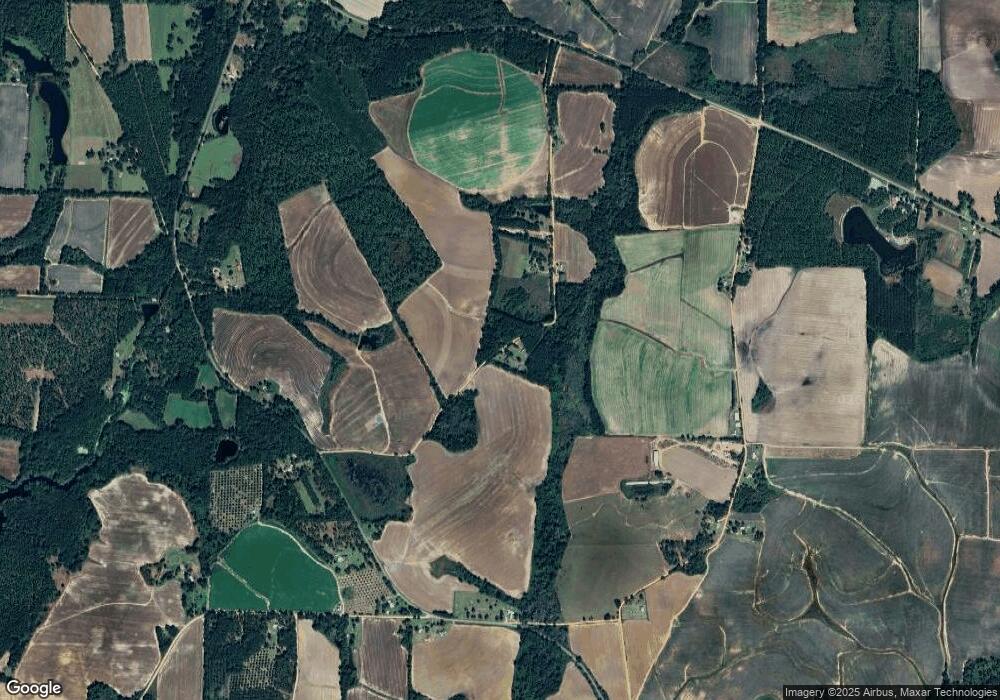 00 Hutchinson Rd, Dixie, GA 31629 - photo 1