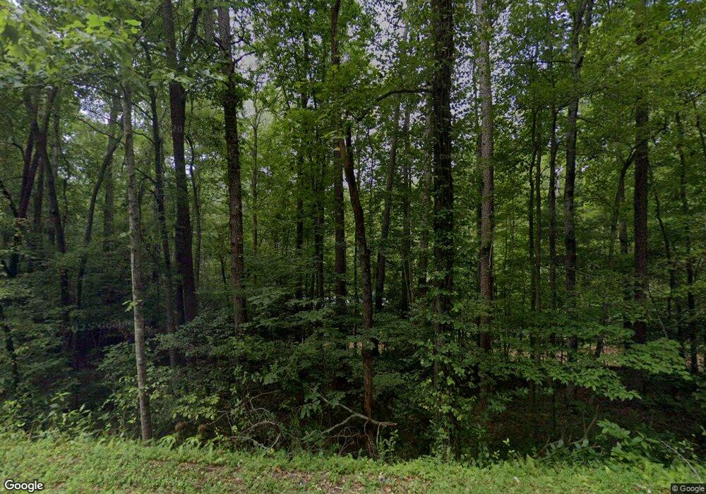 3003 Flat Branch Rd, Ellijay, GA 30540 - photo 1