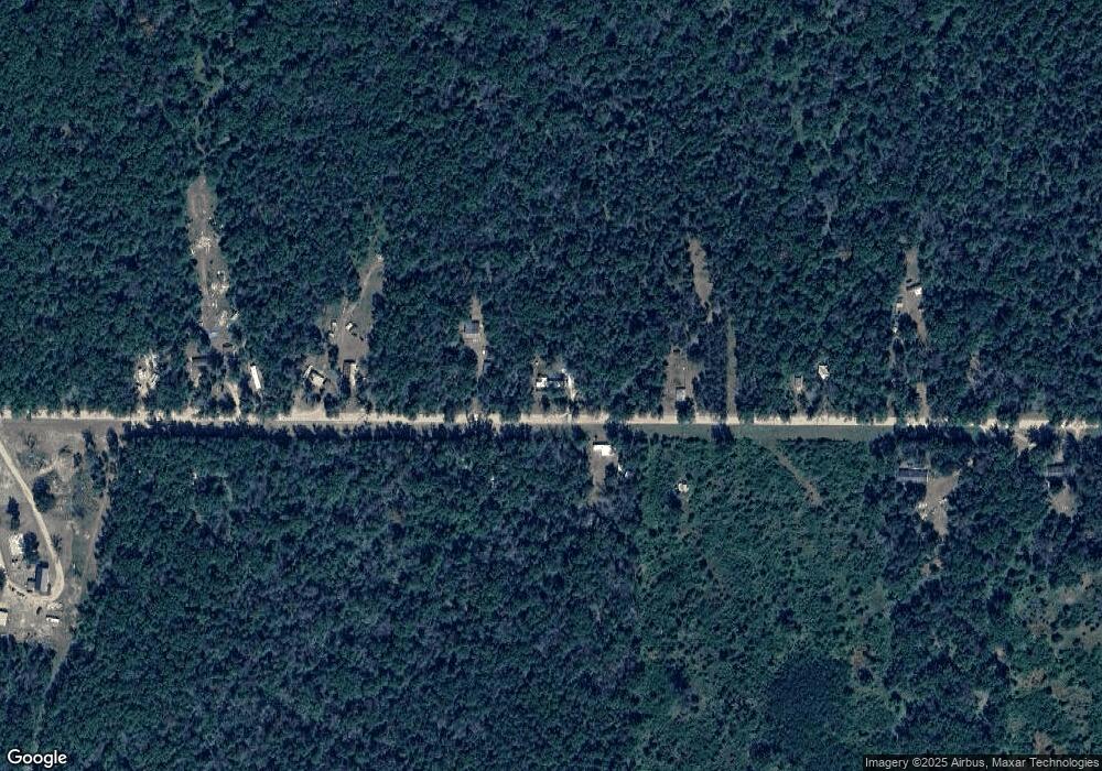 1251 W Coolidge St, Bitely, MI 49309 - photo 1