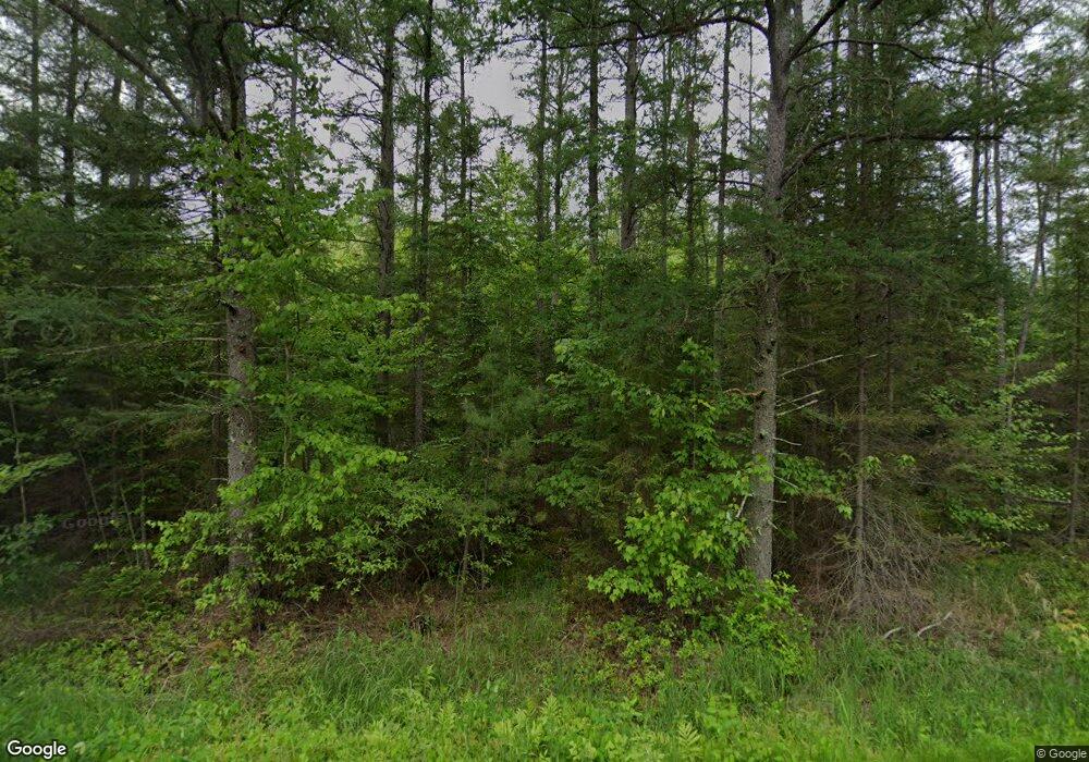 W8012 Somo Dam Dr, Tomahawk, WI 54487 - photo 1