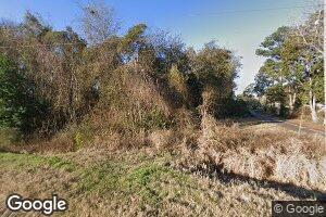 3896 Fowlstown Rd, Attapulgus, GA 39815