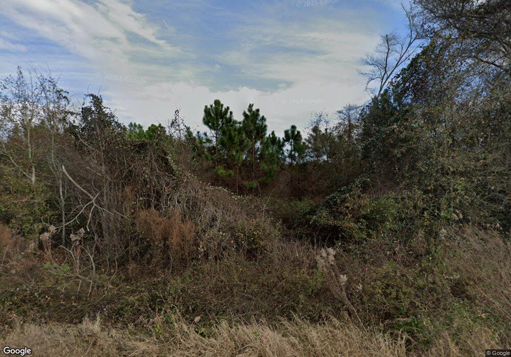 2207 Earnest Sumner Rd, Nashville, GA 31639 - photo 1