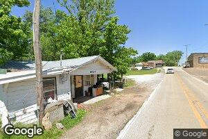100 Stevens Ln, Big Flat, AR 72617