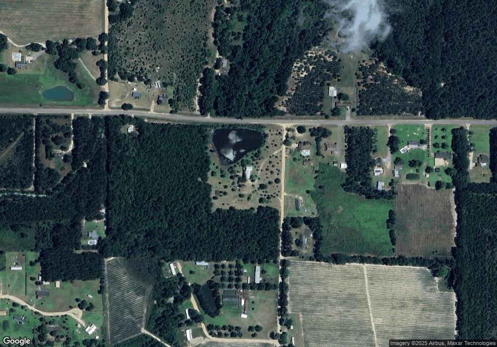 230 High Bluff Rd, Alma, GA 31510 - photo 1