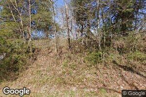161 Jack Rival Way, Dungannon, VA 24245