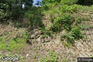 8147 Beech Run Rd, Hinton, WV 25951