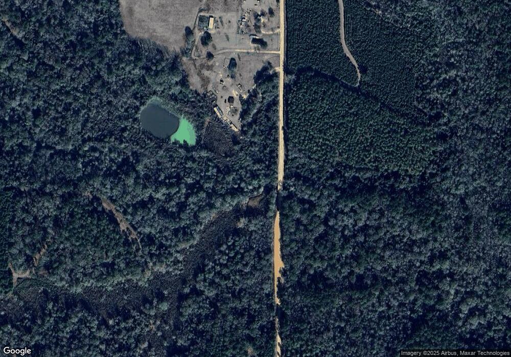 831 Cottonwood Rd, Pelham, GA 31779 - photo 1