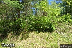 W6776 Pickerel Lake Rd, Pearson, WI 54462