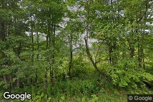 1 Daniels Pond Rd, Glover, VT 05839