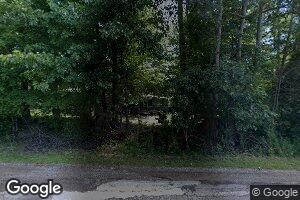 766 N 176th Ave, Walkerville, MI 49459