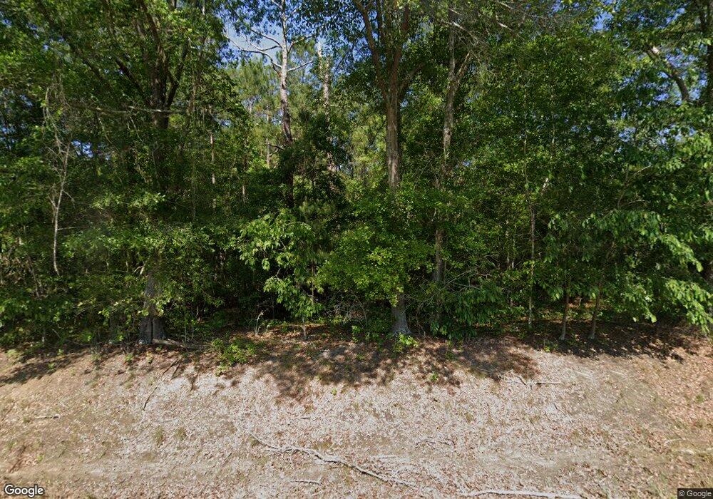 101 Faith Ln, Pavo, GA 31778 - photo 1