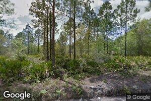 143 Blue Jay Ln, Hoboken, GA 31542