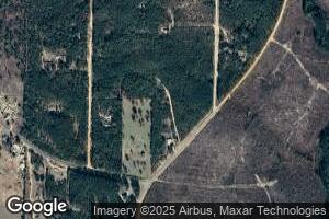 459 Woody Stubbs Rd, Mauk, GA 31058