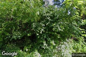 36557 Widener Valley Rd, Glade Spring, VA 24340