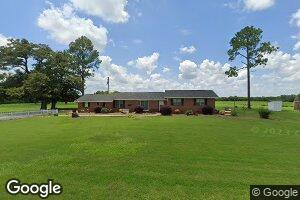 25 Antioch Church Rd, Coleman, GA 39836