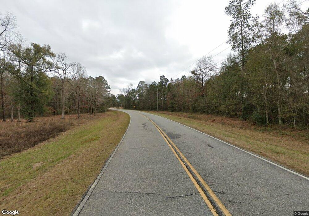 00 Lake Douglas Rd, Climax, GA 39834 - photo 1