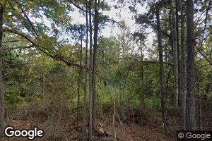 351 Conerly Rd, Braxton, MS 39044