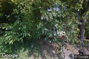 105 Joseph St, Cobden, IL 62920