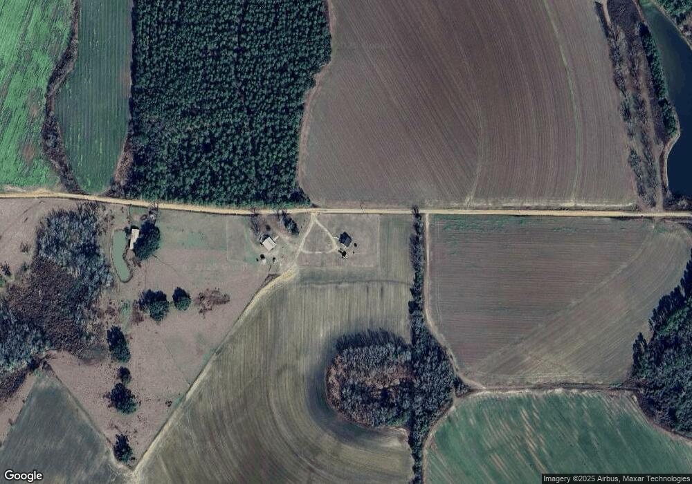 402 Sizemore Rd, Pelham, GA 31779 - photo 1