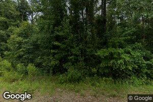 729 Old Yellow Bluff Rd, Pine Hill, AL 36769