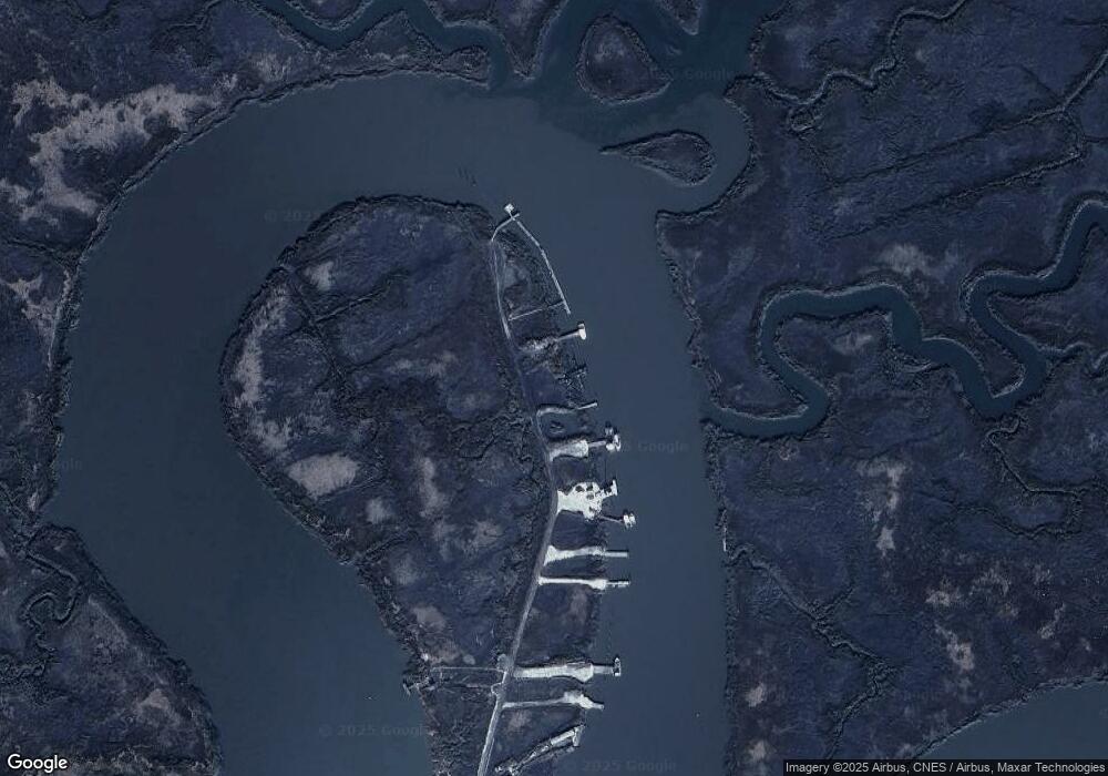 281 E Nantuxent Dr, Newport, NJ 08345 - photo 1