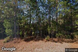 3989 Thompson Pond Rd, Tarrytown, GA 30470