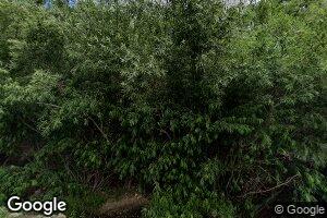11041 E Carter Canyon Rd, Mount Lemmon, AZ 85619