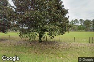 520 Attapulgus Whigham Rd, Whigham, GA 39897