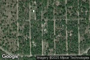 8410 S Craig St, Idlewild, MI 49642
