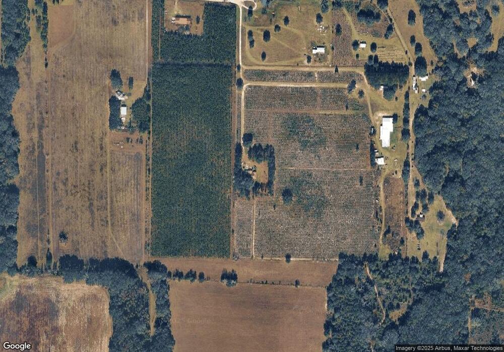 303 SE Phillips Way, Lulu, FL 32061 - photo 1