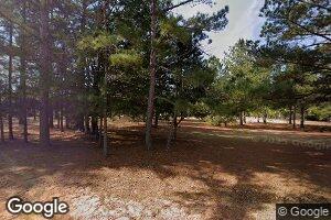 85 Shiloh Rd, Ellaville, GA 31806