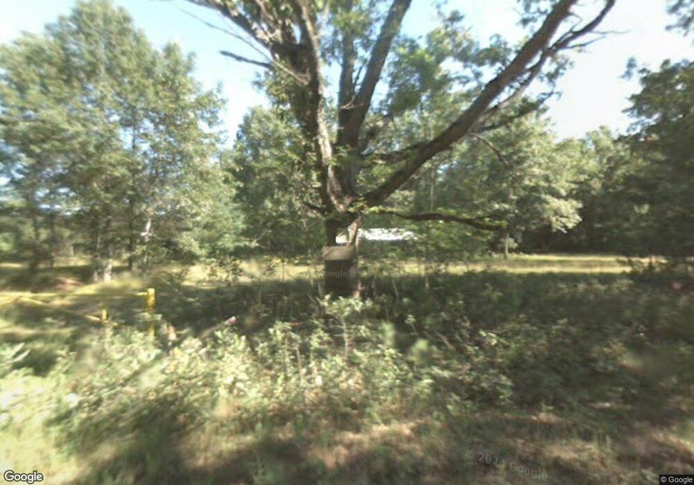 211 Hayes St, Bitely, MI 49309 - photo 1