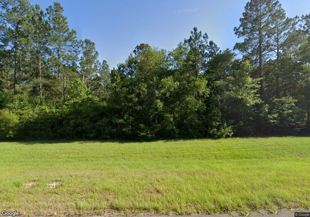 14584 State Route 188, Coolidge, GA 31738 - photo 1