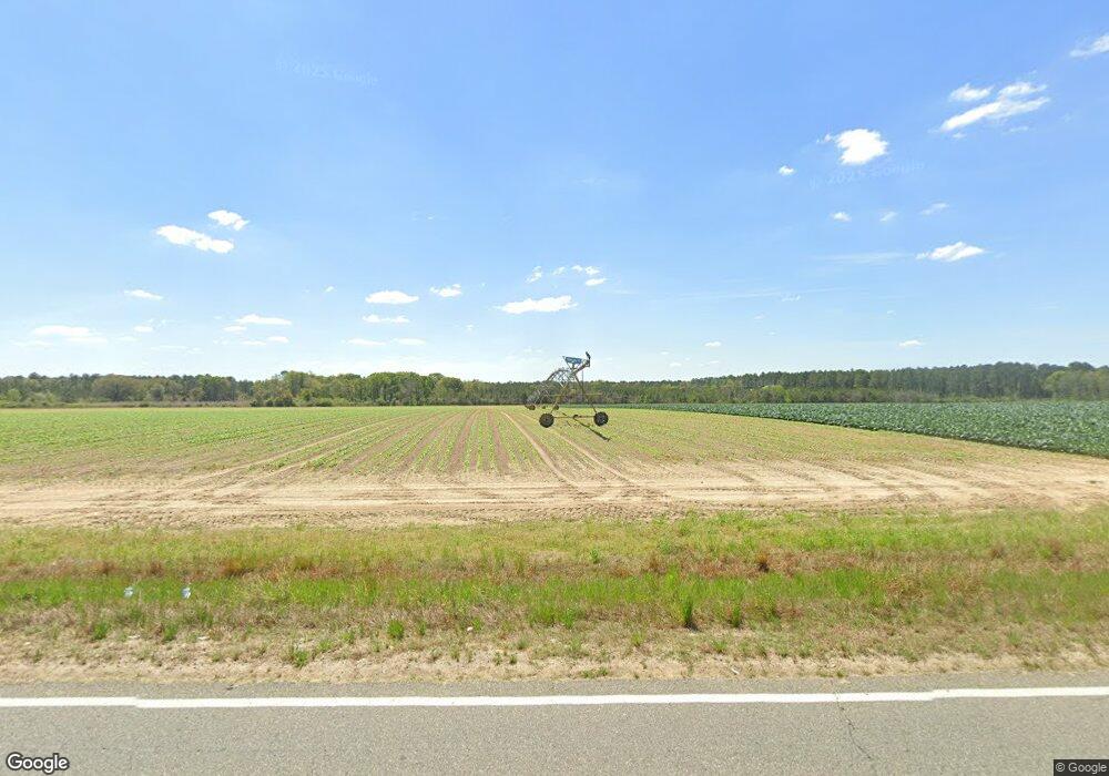 318 Moultrie Lenox Rd, Lenox, GA 31637 - photo 1