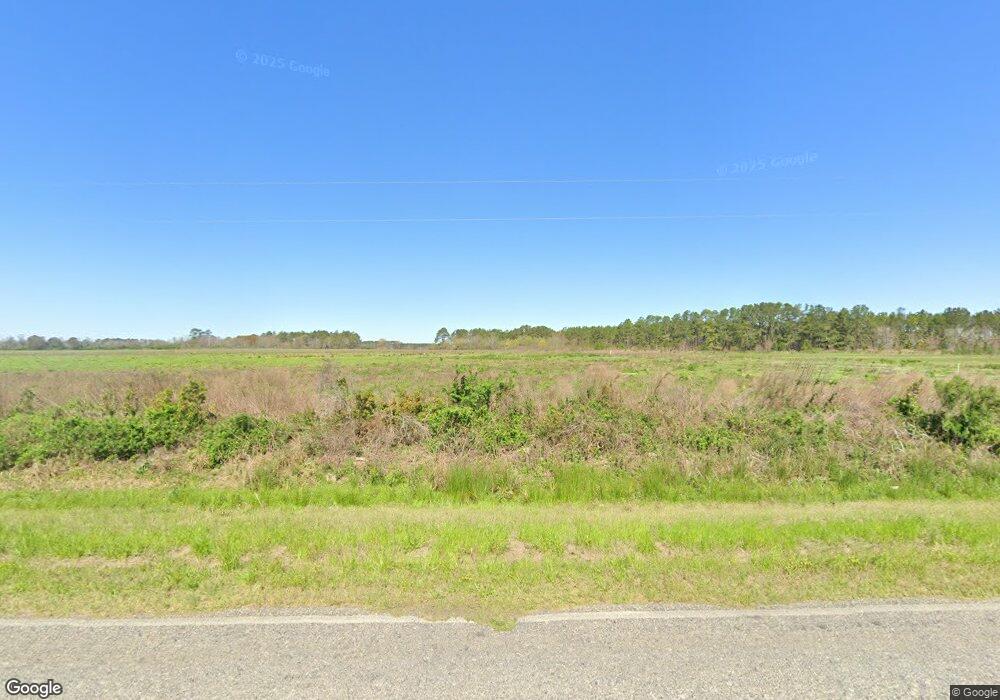 303 Lenox Brookfield Rd, Lenox, GA 31637 - photo 1