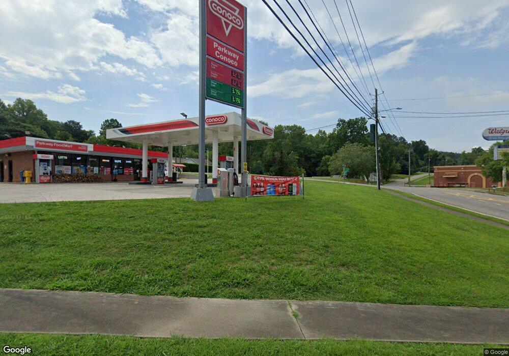 0 Mulberry St unit 10099590, East Ellijay, GA 30540 - photo 1