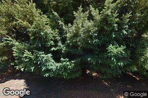 150 Vintage Dr, Elkton, OR 97436
