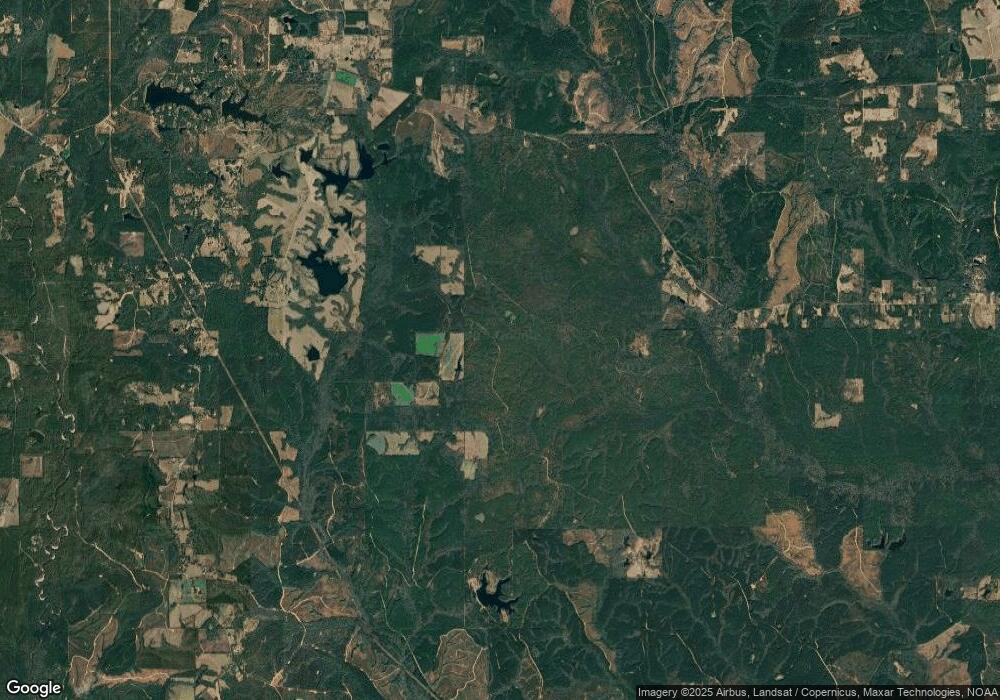 - Off Hickman Tower Rd, Perkinston, MS 39573 - photo 1