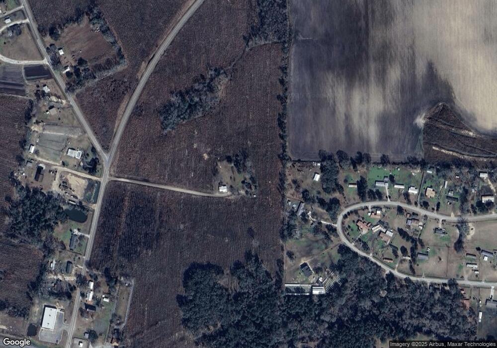 183 Geiger Ln, Axson, GA 31624 - photo 1