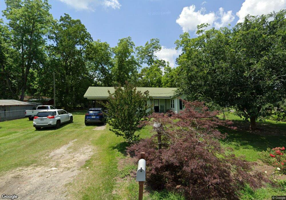 217 N Williams St, Alapaha, GA 31622 - photo 1