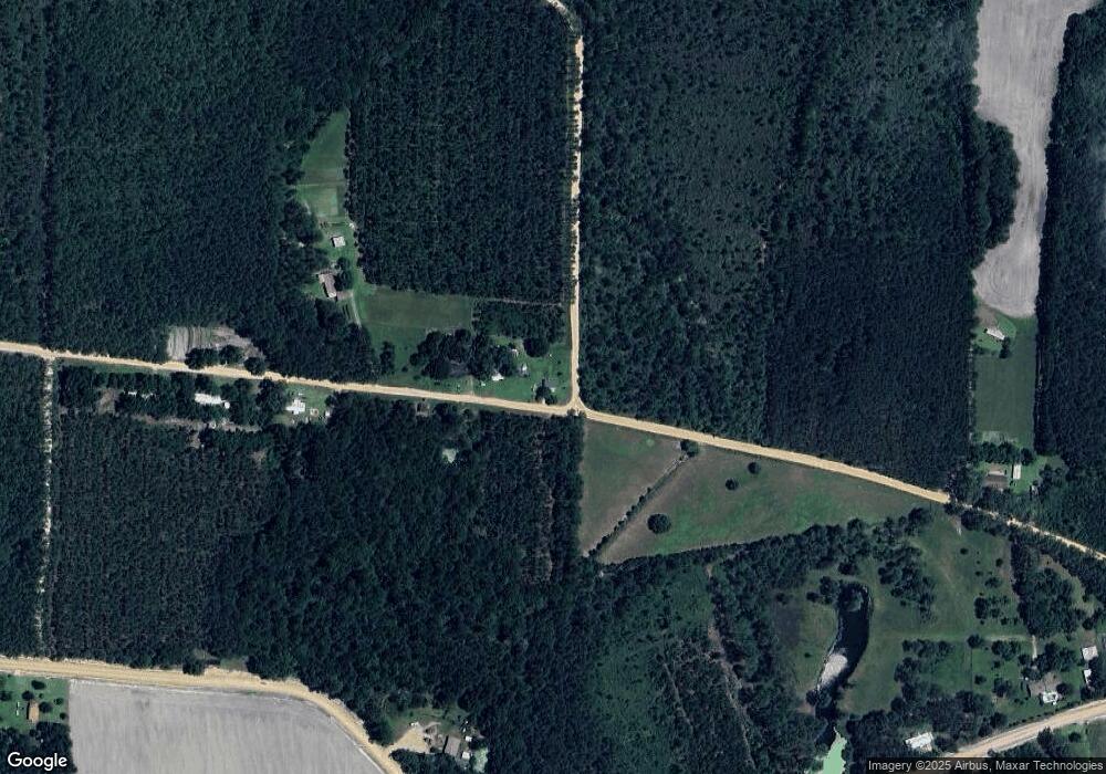 232 Mobile River Rd, Alma, GA 31510 - photo 1