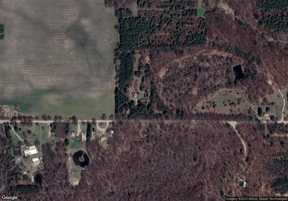 10303 Mckenna Rd, Hubbardston, MI 48845 - photo 1